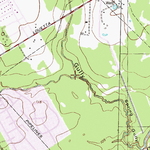 Topographic Map of Theiss Gully, TX