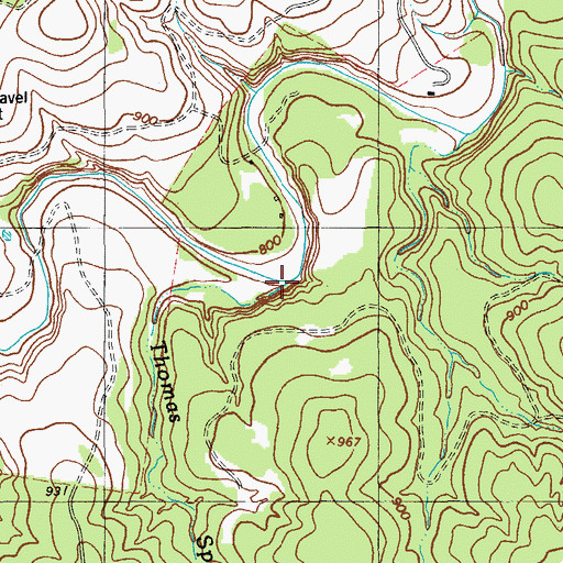 Topographic Map of Thomas Springs Branch, TX