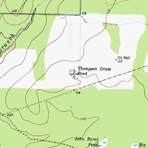 Topographic Map of Thompson Grass Pond, TX