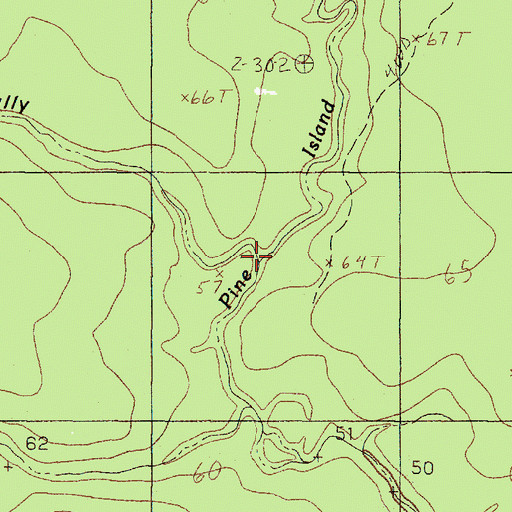 Topographic Map of Thorson Gully, TX