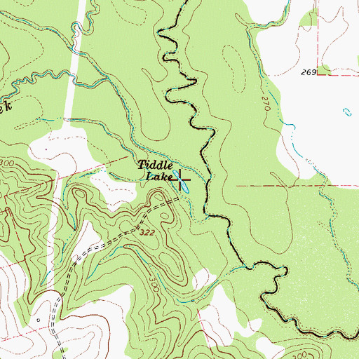 Topographic Map of Tiddle Lake, TX