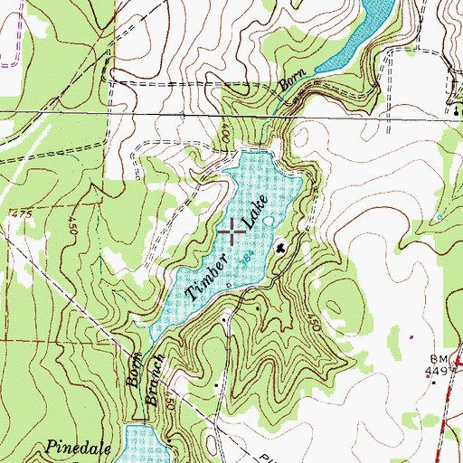 Topographic Map of Timber Lake, TX