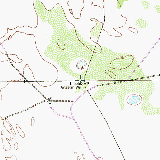 Topographic Map of Timoteo Artesian Well, TX