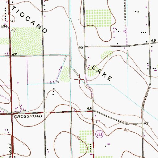 Topographic Map of Tiocano Lake Bed, TX