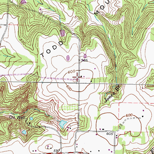 Topographic Map of Todd Mountain, TX