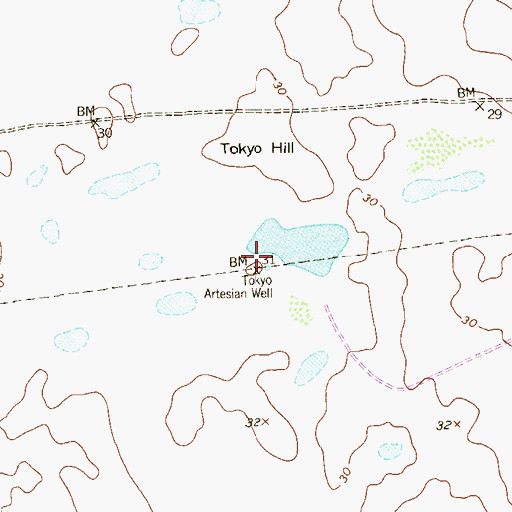 Topographic Map of Tokyo Artesian Well, TX