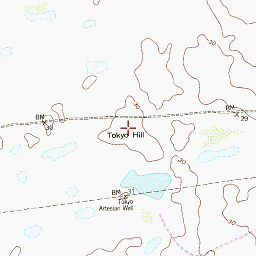 Topographic Map of Tokyo Hill, TX