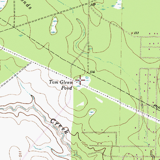 Topographic Map of Tom Glenn Pond, TX