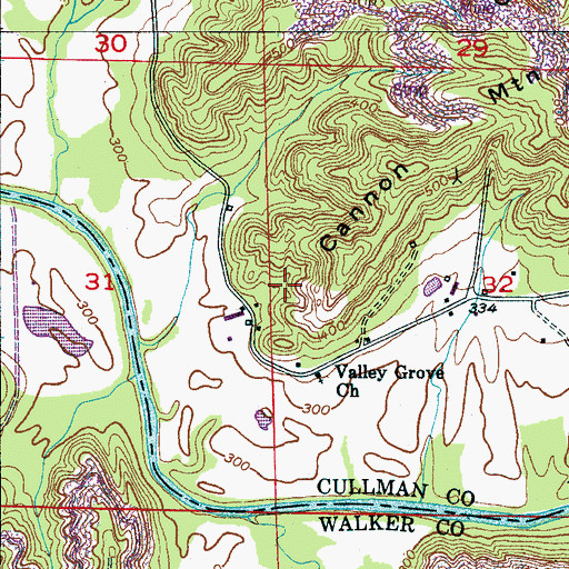 Topographic Map of Bohannon Mine, AL