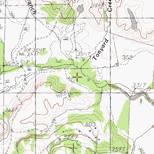Topographic Map of Tonyard Creek, TX