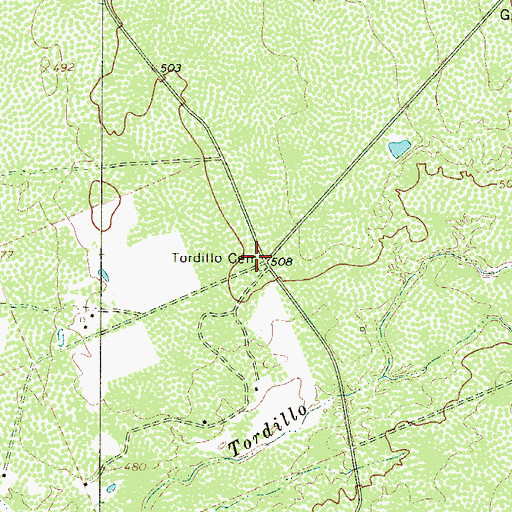 Topographic Map of Tordillo Cemetery, TX