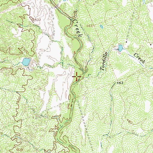 Topographic Map of Tordillo Creek, TX