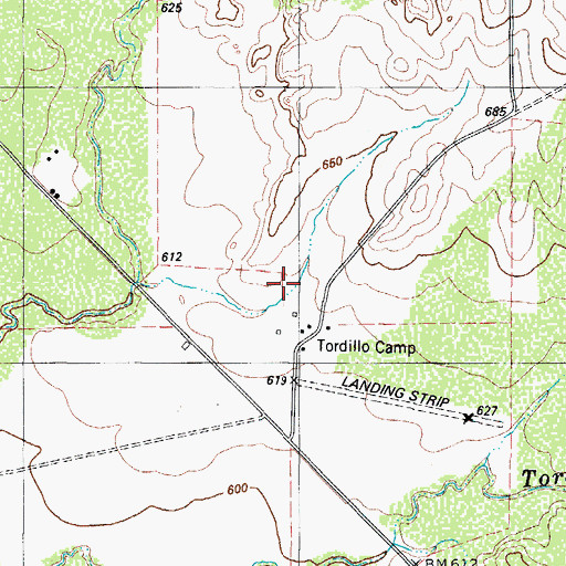 Topographic Map of Tordillo Tank, TX