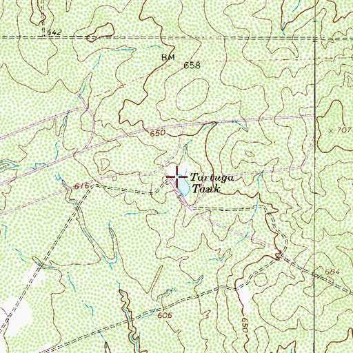Topographic Map of Tortuga Tank, TX