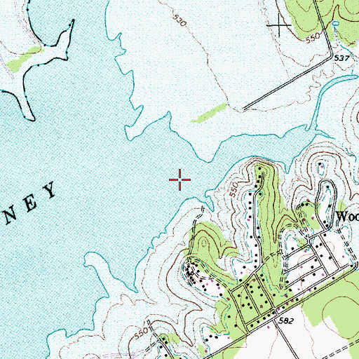 Topographic Map of Towash Creek, TX