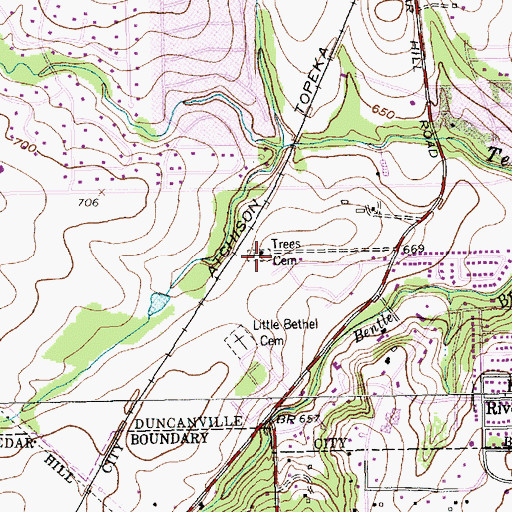 Topographic Map of Trees Cemetery, TX