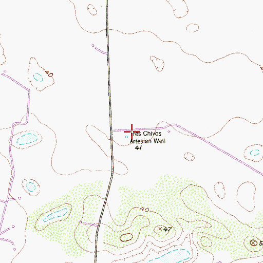 Topographic Map of Tres Chivos Artesian Well, TX