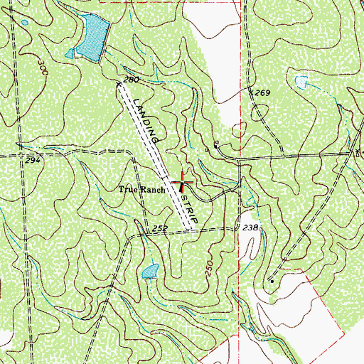 Topographic Map of True Ranch, TX