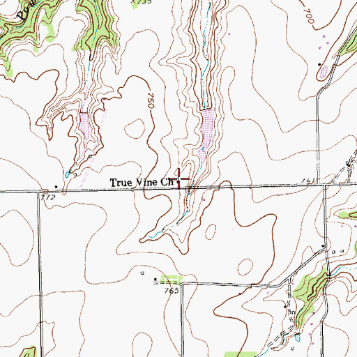 Topographic Map of True Vine Church, TX