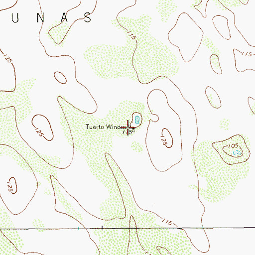 Topographic Map of Tuerto Windmill, TX
