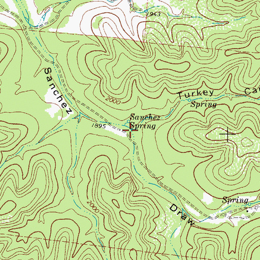 Topographic Map of Turkey Canyon, TX