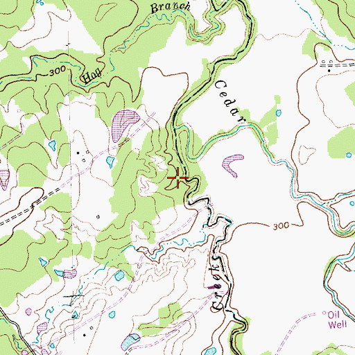 Topographic Map of Turkey Creek, TX