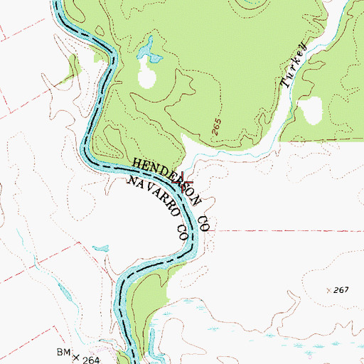 Topographic Map of Turkey Creek, TX