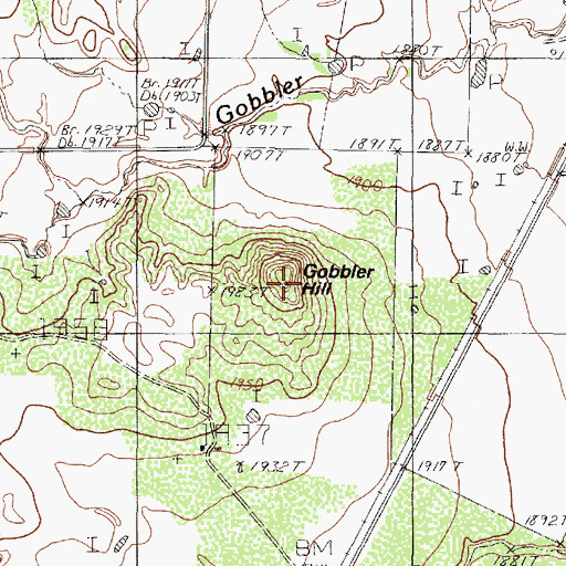 Topographic Map of Gobbler Hill, TX