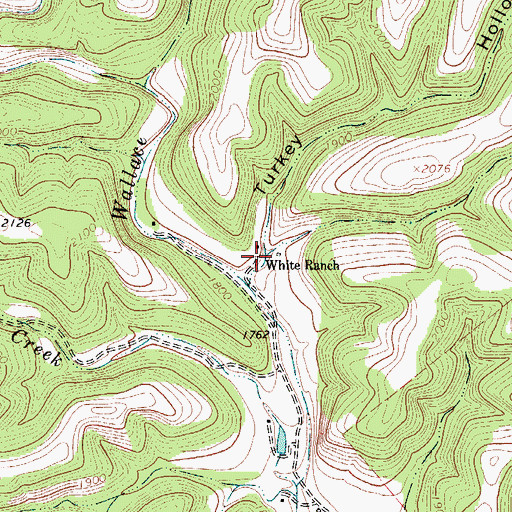 Topographic Map of Turkey Hollow, TX