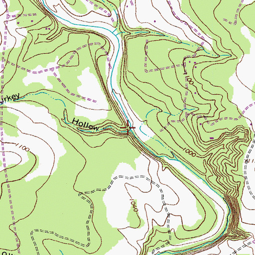 Topographic Map of Turkey Hollow, TX