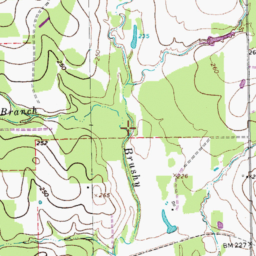 Topographic Map of Turkey Pen Branch, TX