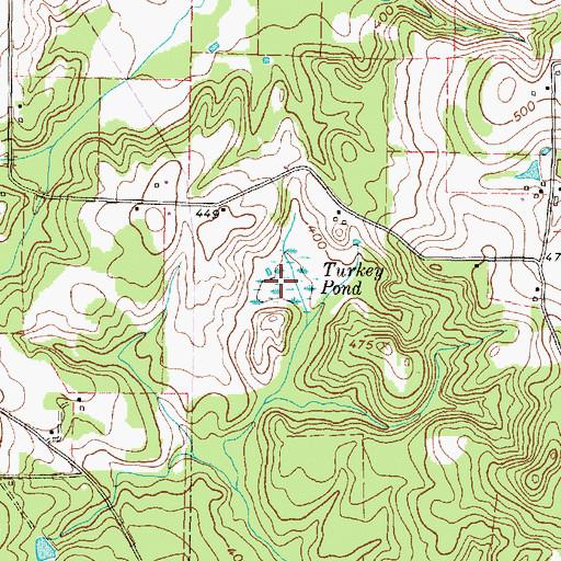 Topographic Map of Turkey Pond, TX