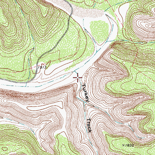 Topographic Map of Turkey Track Canyon, TX