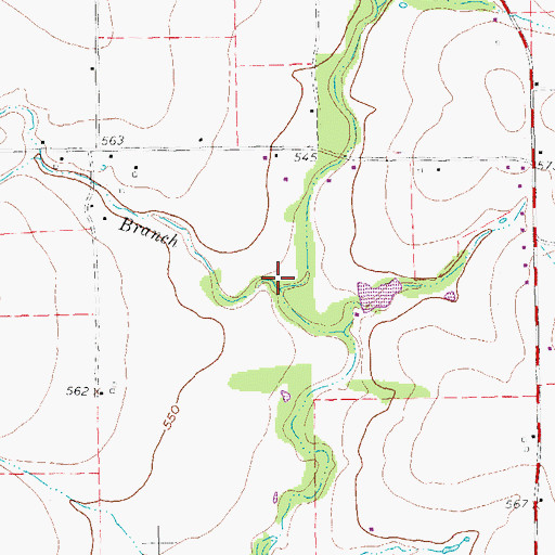 Topographic Map of Turner Branch, TX