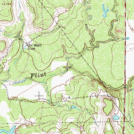 Topographic Map of Turtle Hole Creek, TX