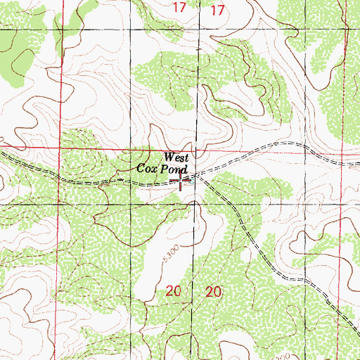 Topographic Map of West Cox Pond, AZ