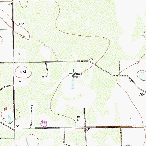 Topographic Map of Vacas Well, TX