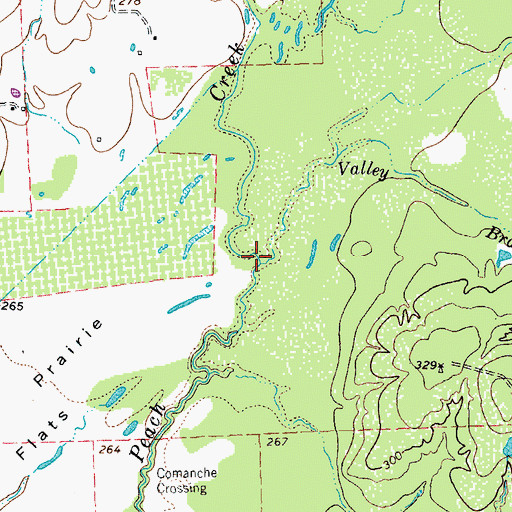 Topographic Map of Valley Branch, TX