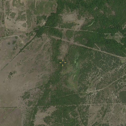Aerial/Satellite Image of Valley Branch, TX