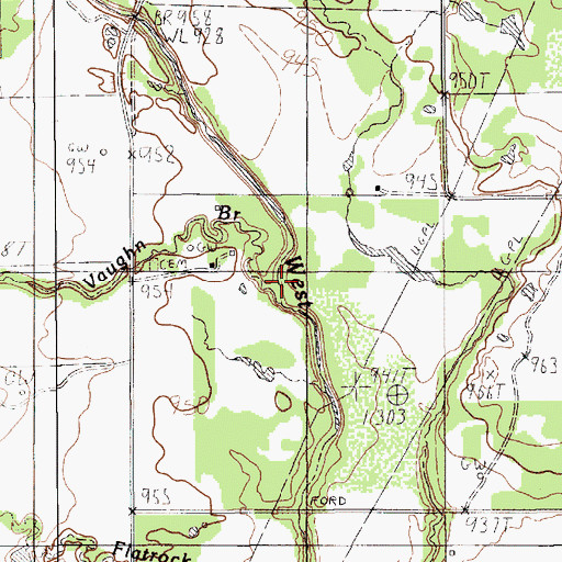 Topographic Map of Vaughn Branch, TX