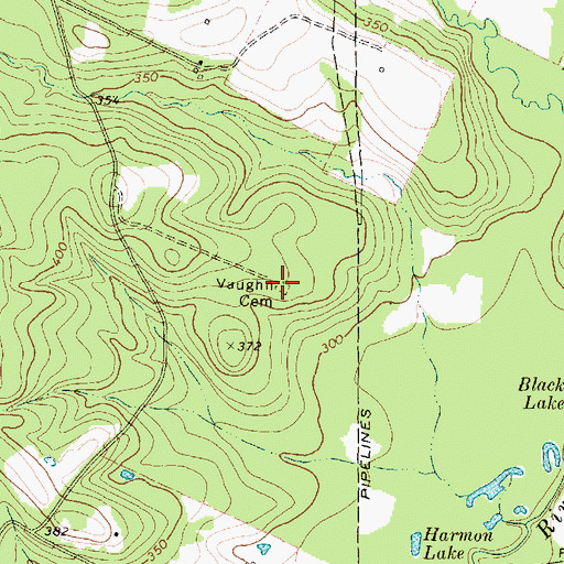 Topographic Map of Vaughn Cemetery, TX