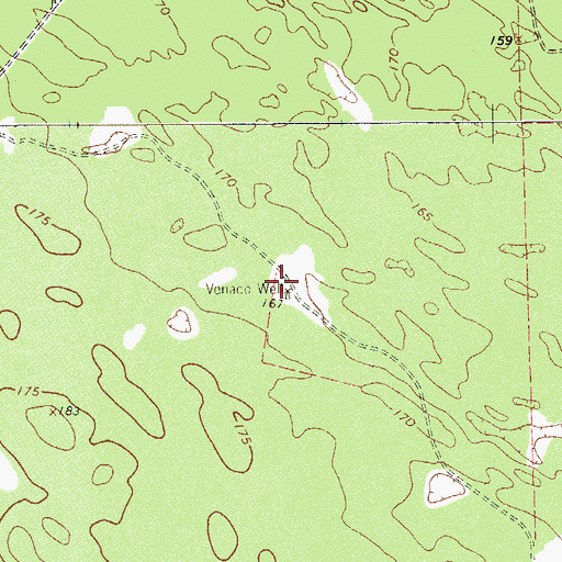 Topographic Map of Venado Well, TX