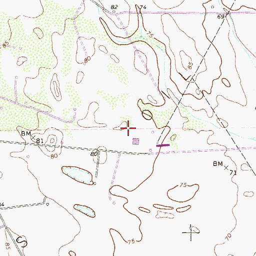 Topographic Map of Viboras Oil Field, TX