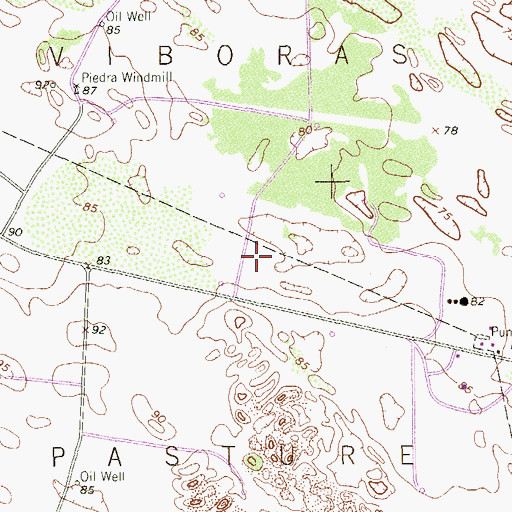 Topographic Map of Viboras Pasture, TX