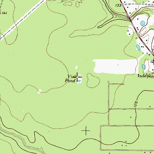 Topographic Map of Vick Pond, TX