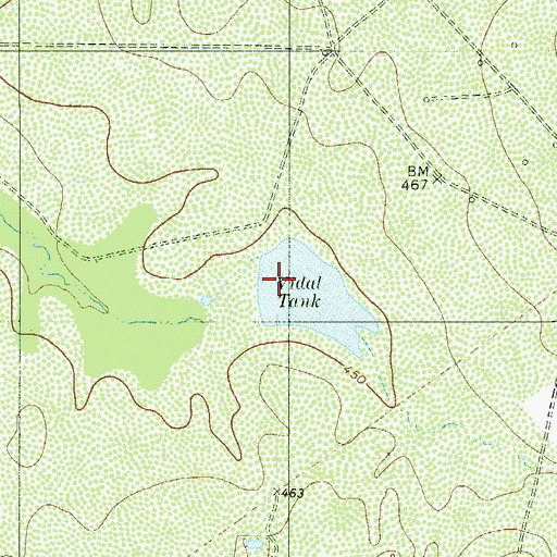 Topographic Map of Vidal Tank, TX