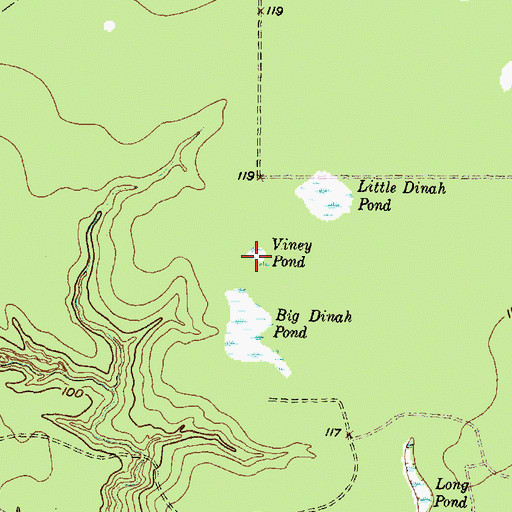 Topographic Map of Viney Pond, TX