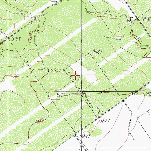 Topographic Map of W F Rover, TX