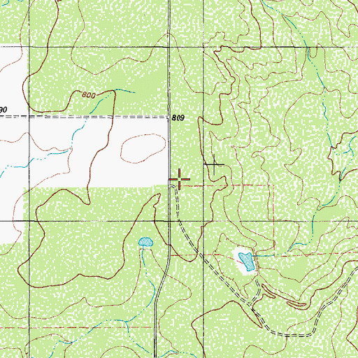 Topographic Map of WF George, TX