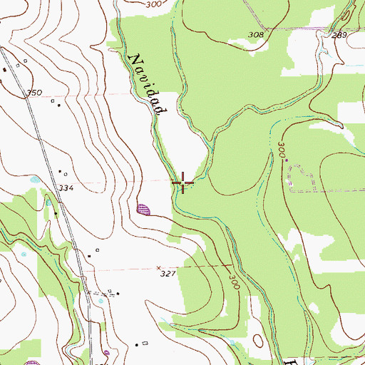 Topographic Map of Walker Branch, TX